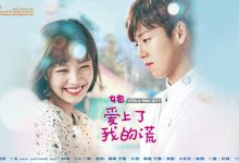 2017韩剧《她爱上了我的谎》720P中字下载 [1-16集全]-韩剧迷网