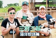 20170915 tvN 三时三餐 海洋牧场E07 中字-韩剧迷网